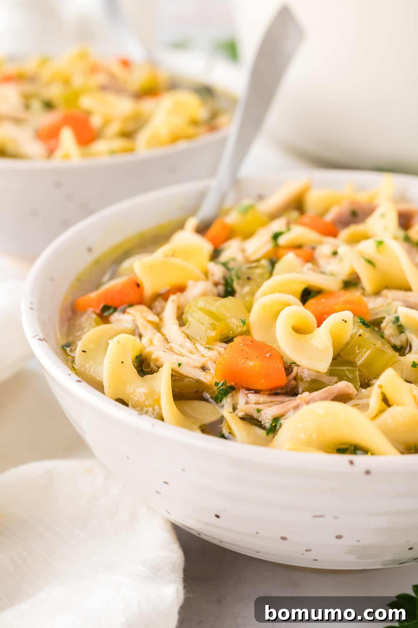 A beautifully presented bowl of chicken noodle soup in the foreground, with another bowl gently blurred in the background, creating a cozy and inviting scene.