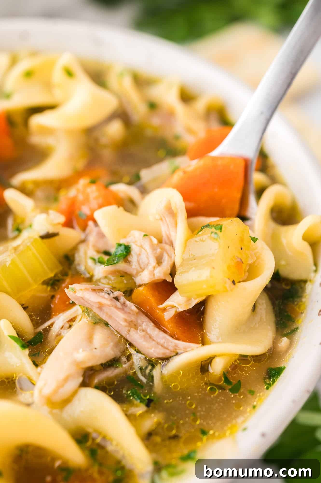 A close-up view of a spoon lifting a rich, steamy spoonful of chicken noodle soup from a bowl, highlighting the tender chicken and egg noodles.