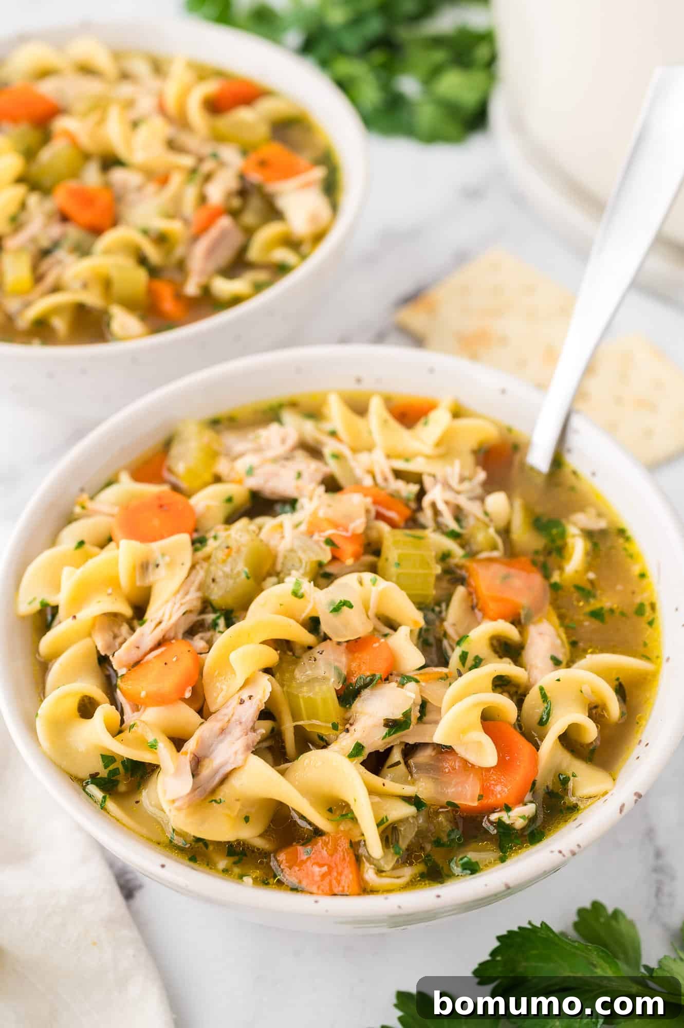 A warm bowl of chicken noodle soup in the foreground, with a second bowl and a small plate of saltine crackers visible in the background, creating a comforting setting.