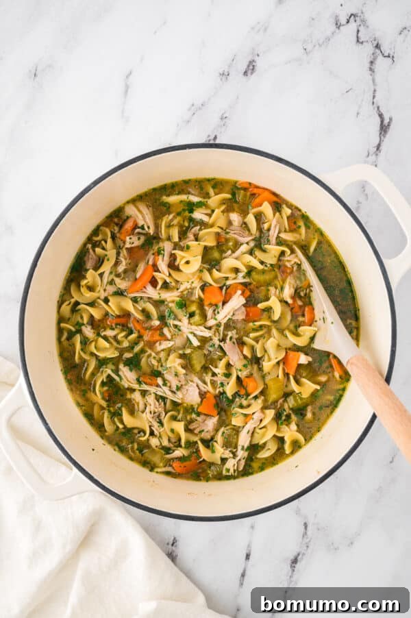 A large pot filled with finished homemade chicken noodle soup, complete with tender chicken, noodles, and vegetables, ready to be served.
