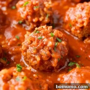 Porcupine meatballs in a rich tomato sauce, sprinkled with parsley.