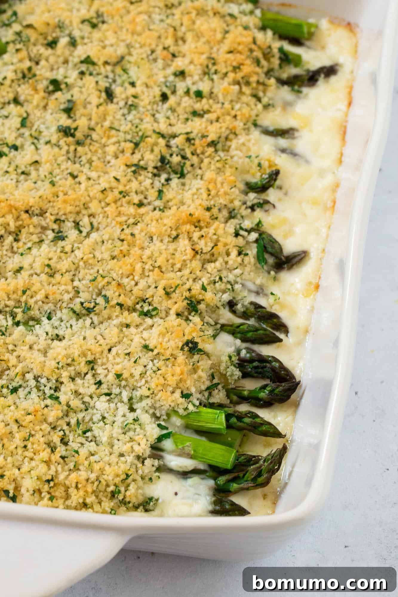 Creamy Asparagus Bake 2 Asparagus casserole topped with golden brown seasoned bread crumbs, ready to be served.