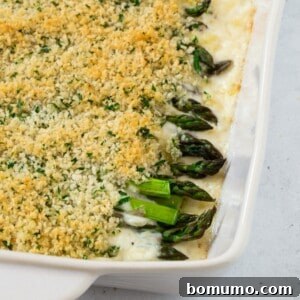 Asparagus casserole, topped with seasoned bread crumbs, freshly baked.