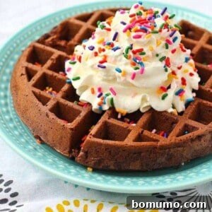 Brownie Waffles - Brownies in less than 6 minutes from start to finish. Get the EASY recipe on RachelCooks.com!