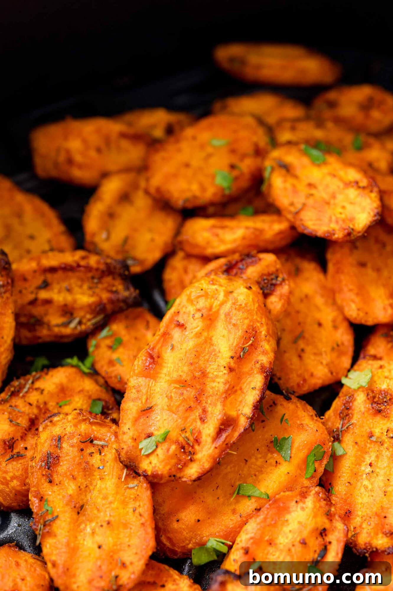 Perfectly air-fried carrot slices resting in the air fryer basket.