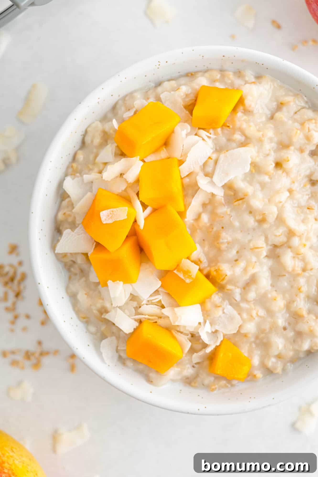 A vibrant bowl of oatmeal artfully topped with fresh mango slices and shredded coconut, presenting a tropical and healthy breakfast option.