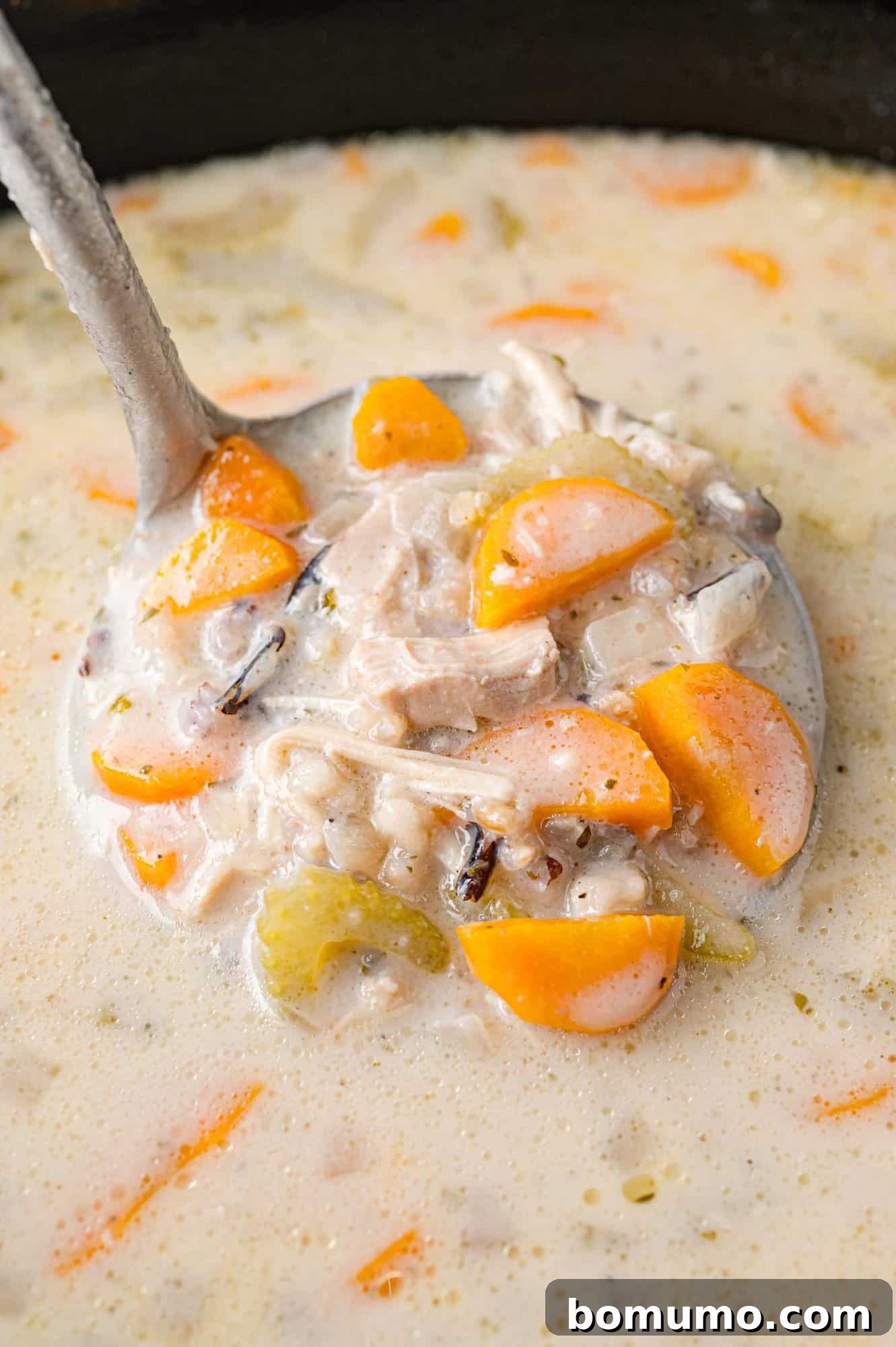 A steaming ladle of creamy crockpot chicken wild rice soup, garnished with fresh herbs, ready to be served into a bowl.