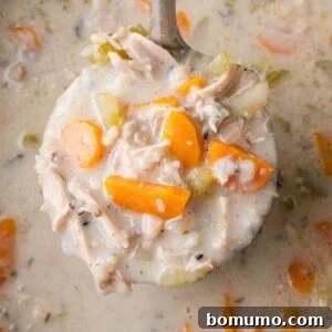 Ladle full of crockpot chicken wild rice soup.