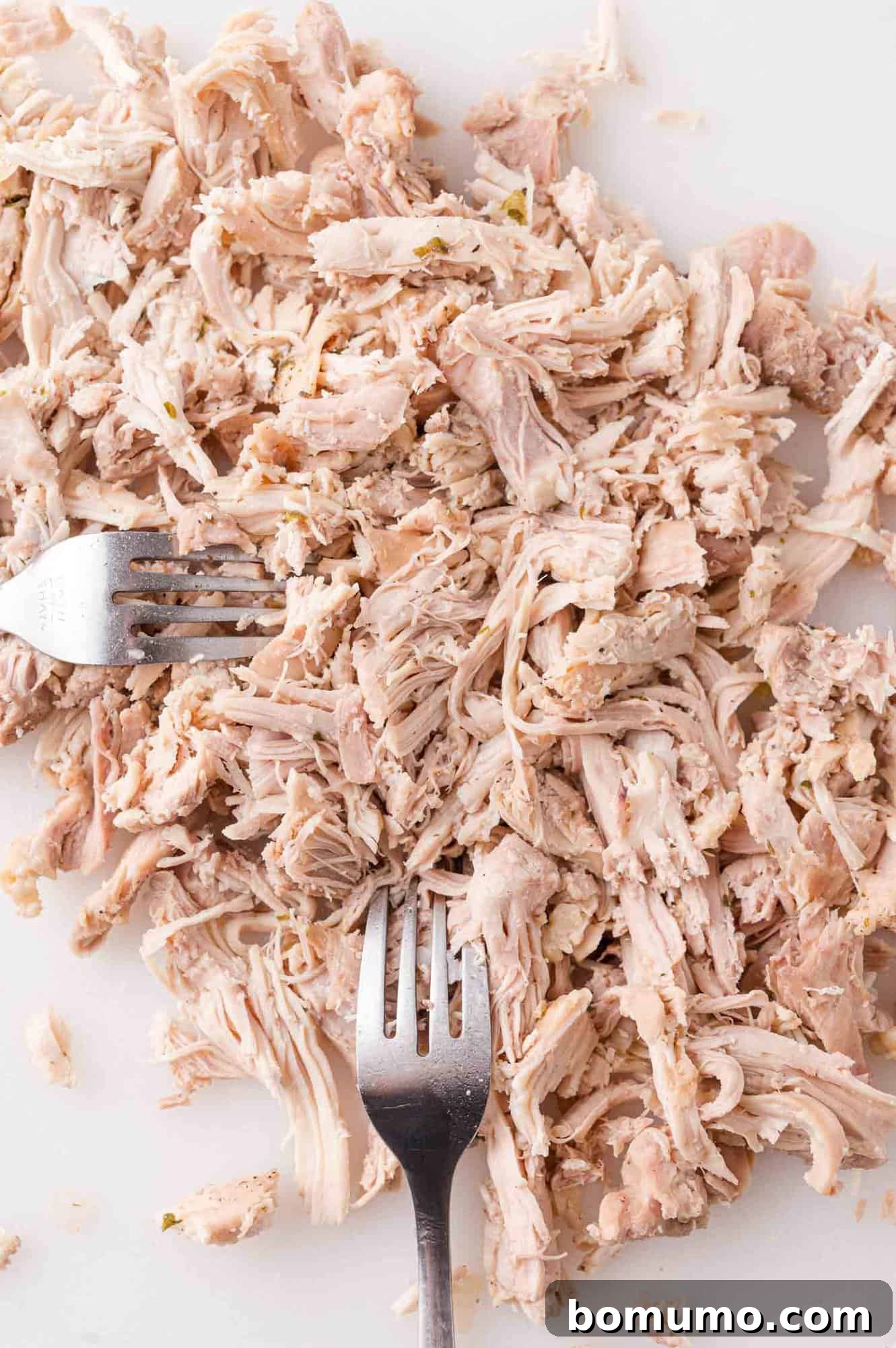 Cooked chicken thighs from the soup being shredded with two forks on a cutting board.