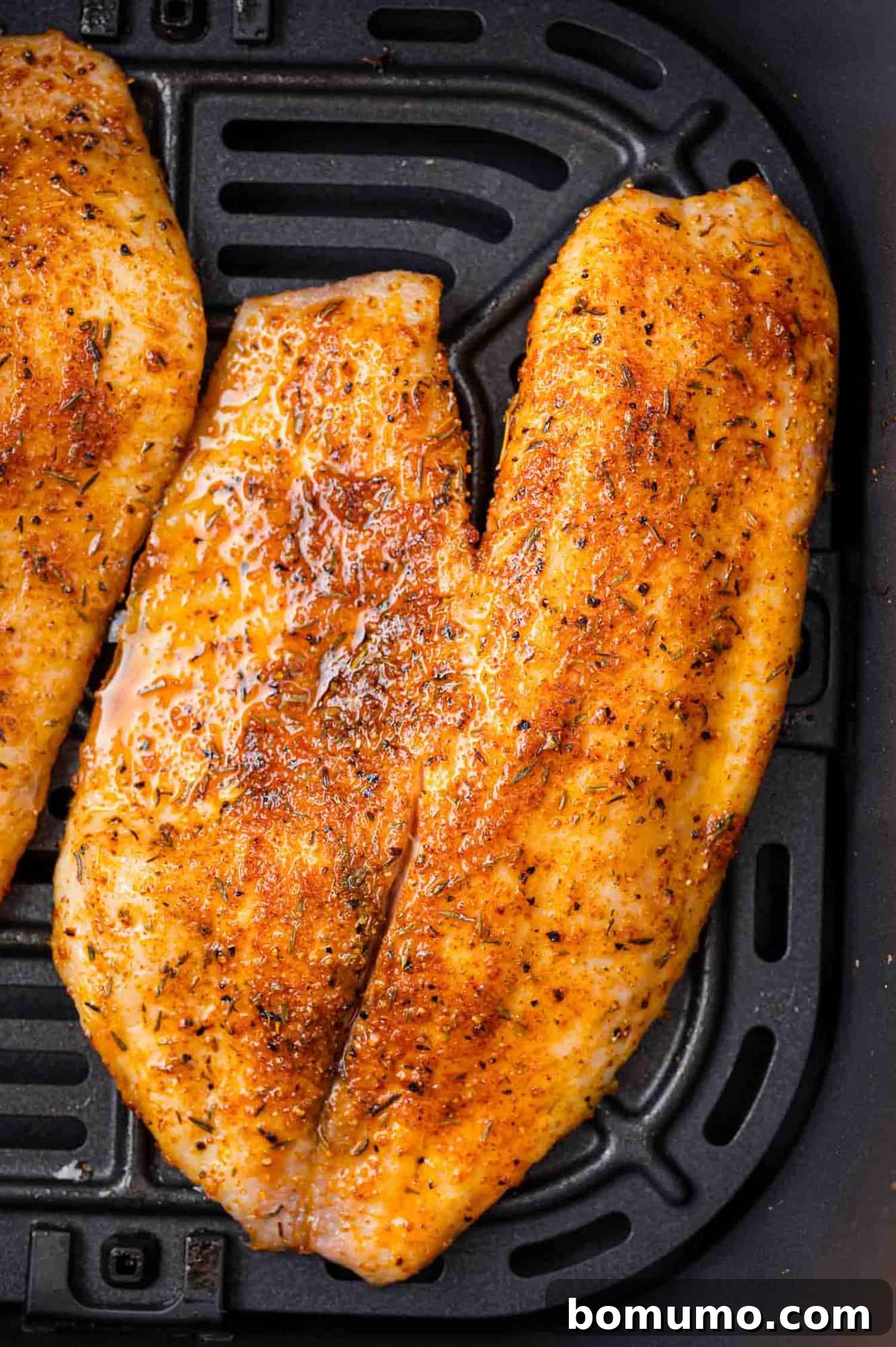 A perfectly cooked fillet of air fryer tilapia, still nestled in the air fryer basket, ready to be served. The golden-brown crust hints at its delicious crispness.