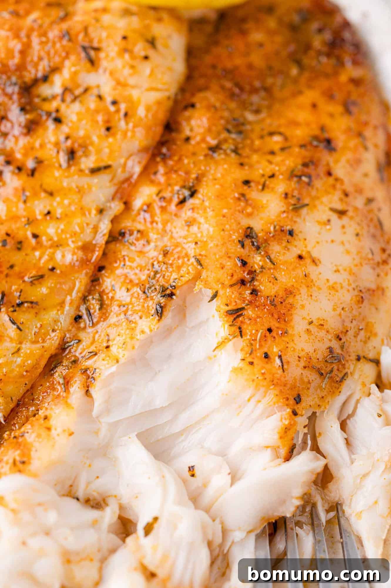 A close-up of perfectly cooked tilapia, gently flaked with a fork to reveal its tender, moist texture.