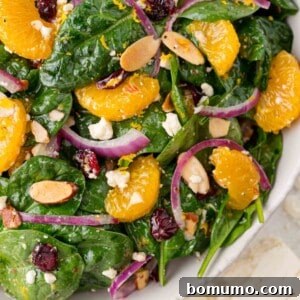 A beautifully presented mandarin orange salad on a bed of fresh spinach, ready to serve and delight.