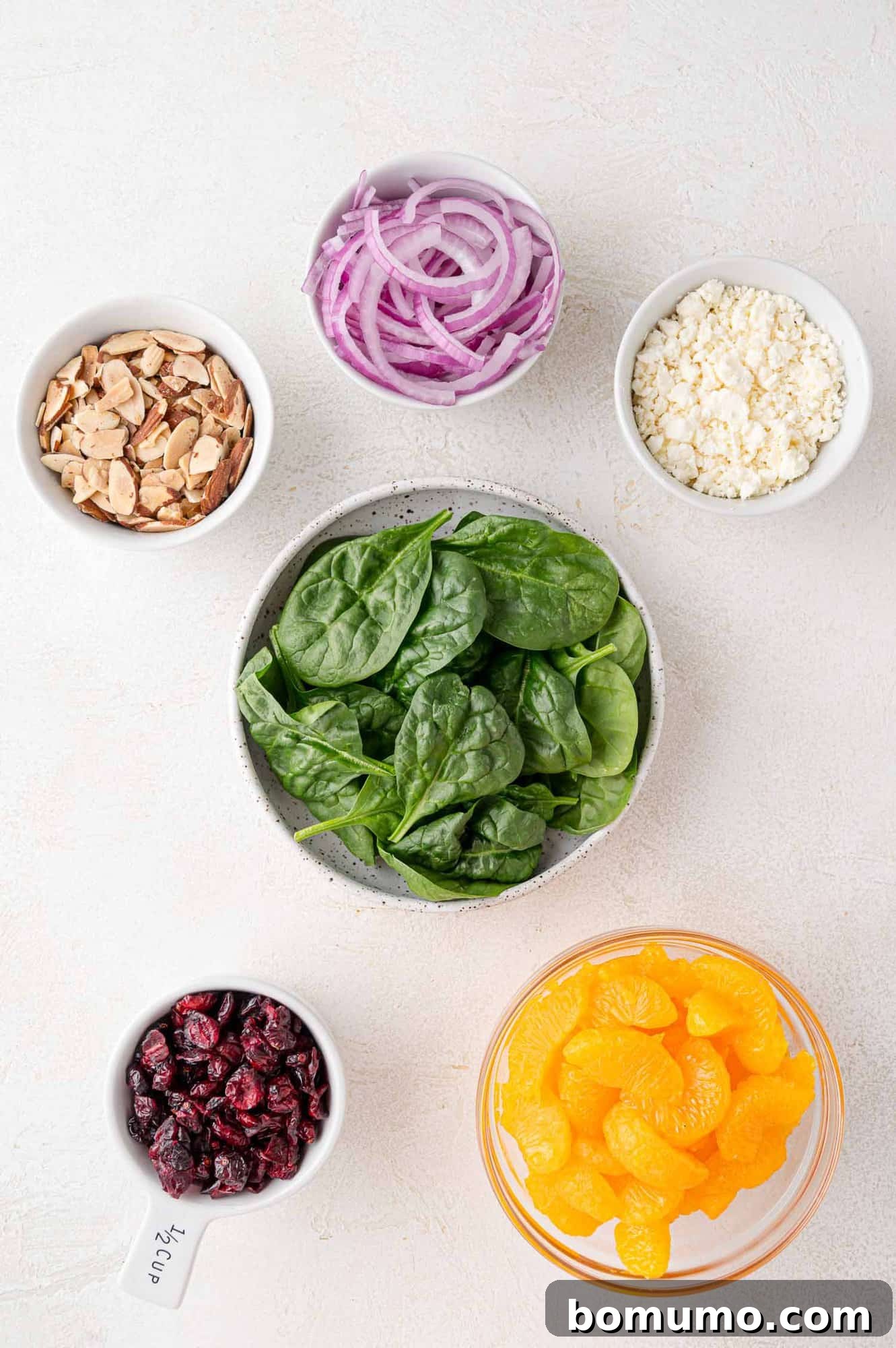All the fresh and vibrant ingredients needed for assembling the mandarin orange salad, neatly arranged on a countertop.
