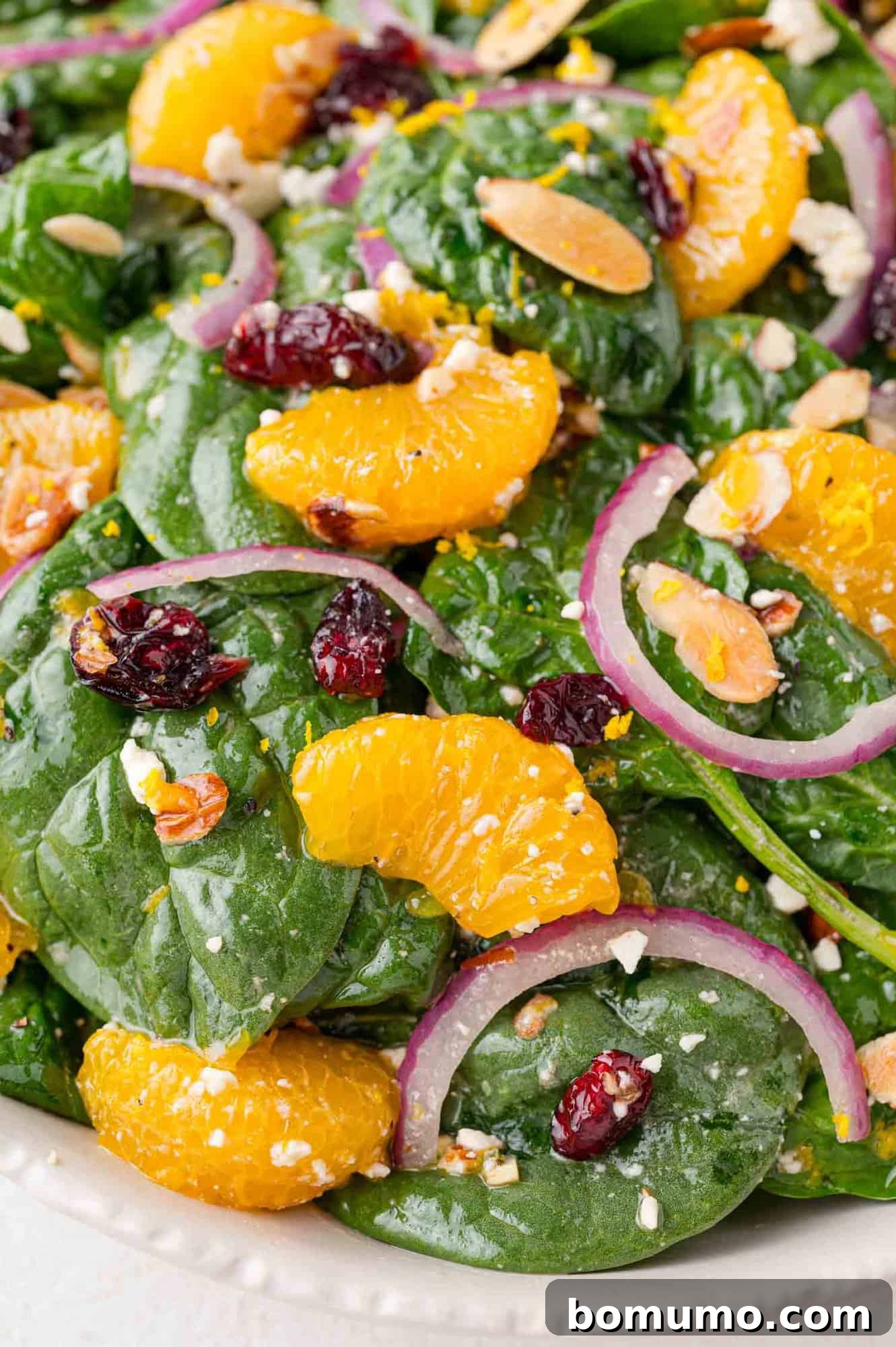 The completed mandarin orange salad, beautifully tossed and perfectly dressed, showcasing its vibrant and appetizing ingredients.
