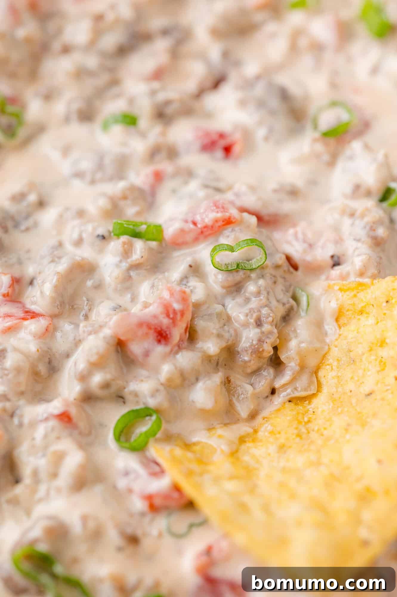 Sausage Cheese Bliss 3 Sausage dip on a tortilla chip.