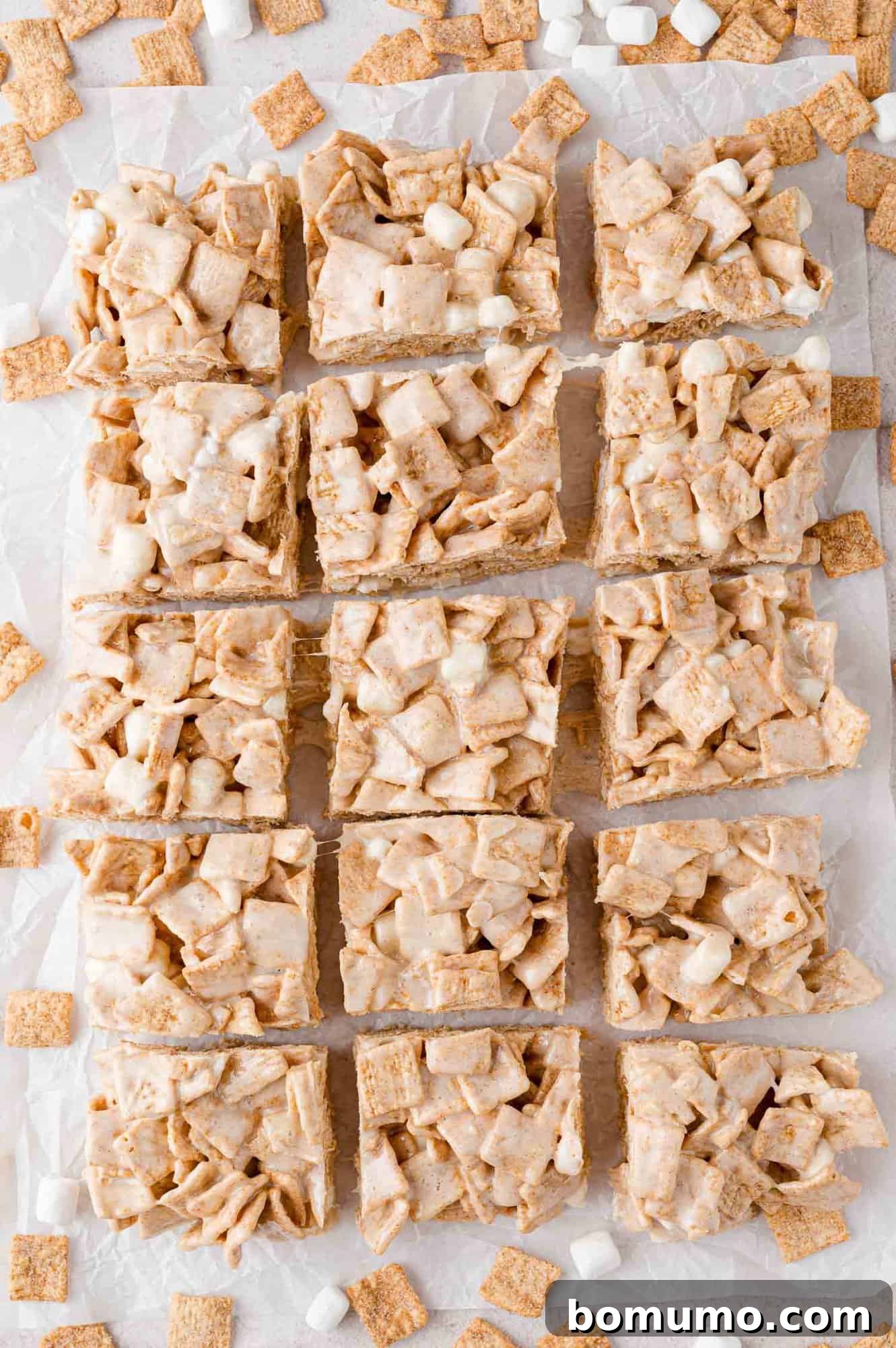 Cinnamon Crunch Bars 13 Cereal bars cut into squares.