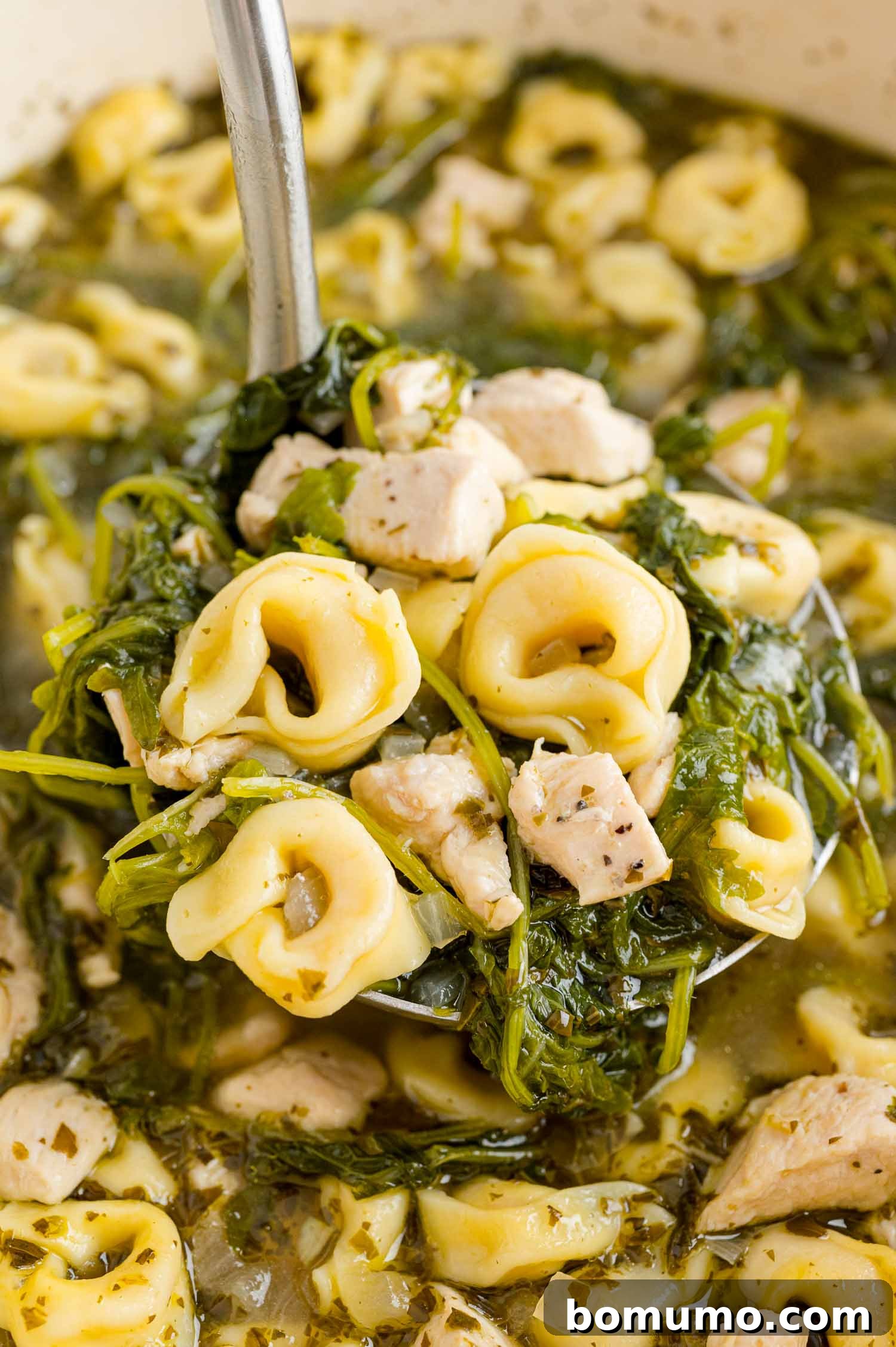 A ladle filled with hearty chicken tortellini soup, showcasing the chunks of chicken, tortellini, and wilted kale, ready to be served.
