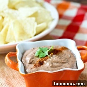 This healthy and creamy southwestern black bean dip only uses four ingredients and one packs an extra punch of protein. You'll love this for dipping or for spreading on sandwiches. Get the easy appetizer or snack recipe on RachelCooks.com!
