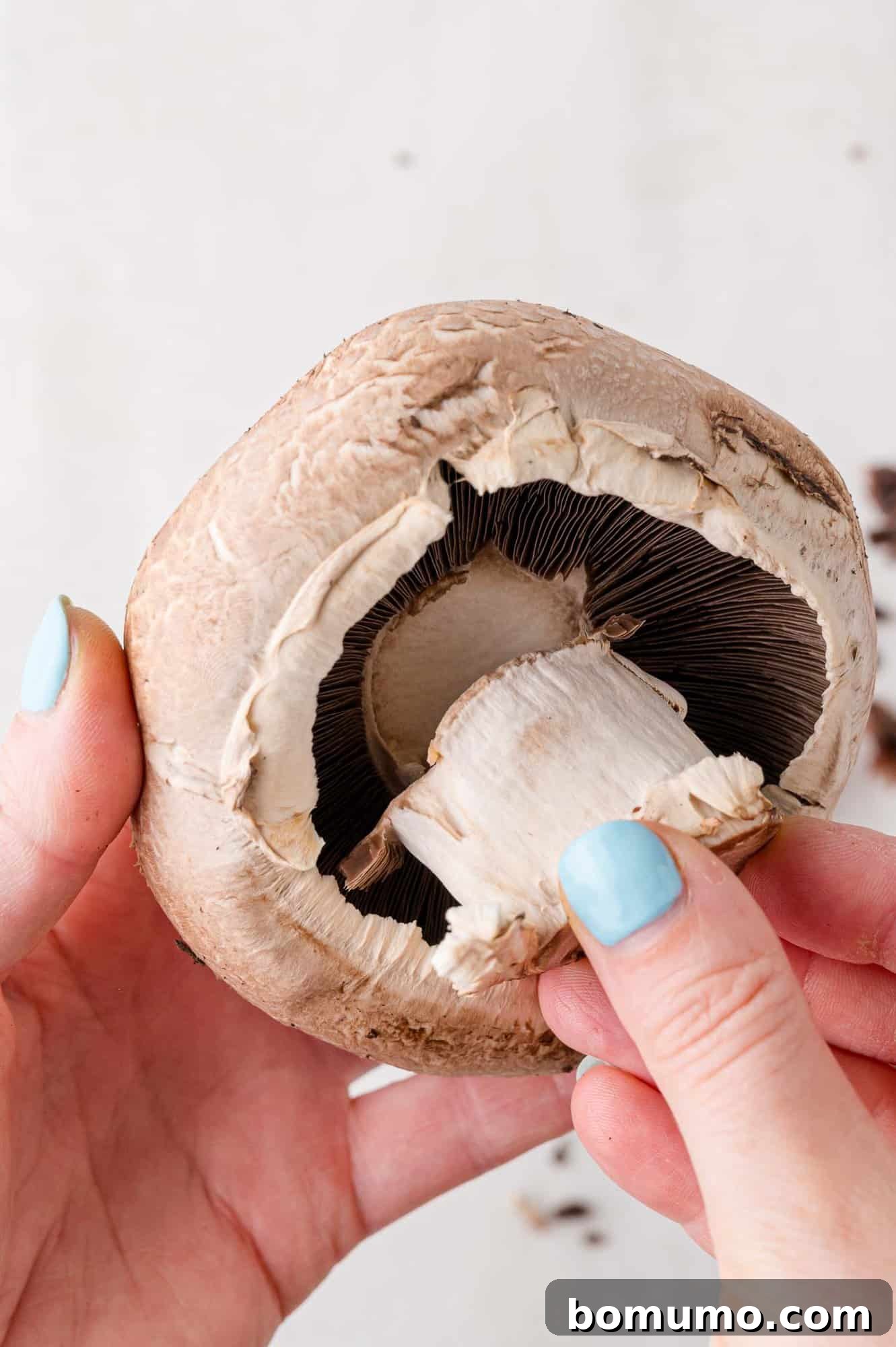 Mushroom stem being removed by twisting.