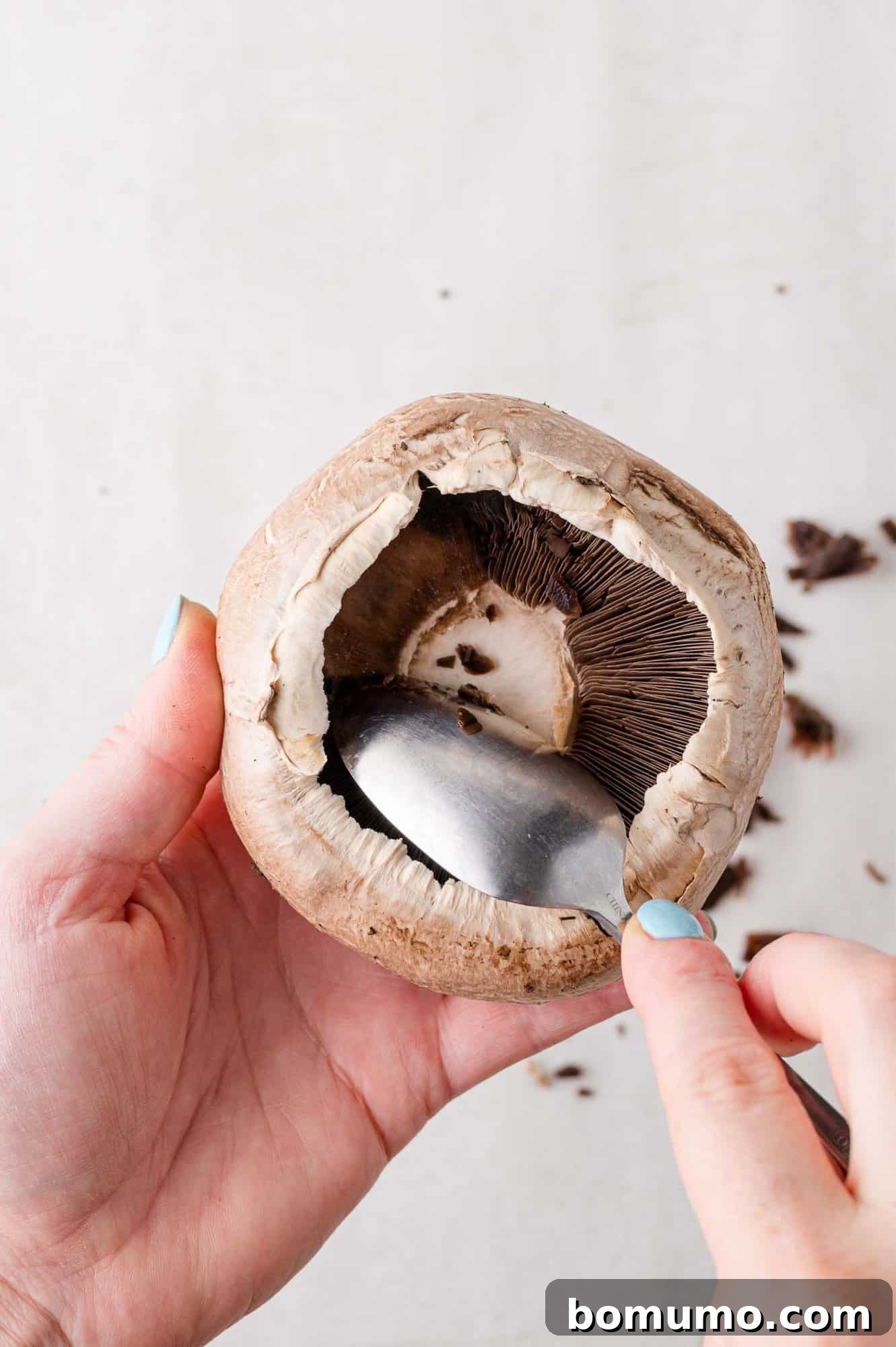 Gills being gently scraped from the underside of a mushroom.