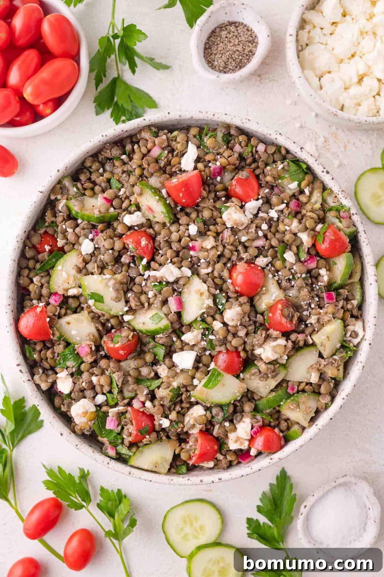 A beautifully arranged bowl of finished lentil salad, complete with cherry tomatoes, cucumber slices, red onion, vibrant parsley, and crumbled feta cheese, surrounded by fresh, colorful ingredients on a white surface, invitingly ready to be served.