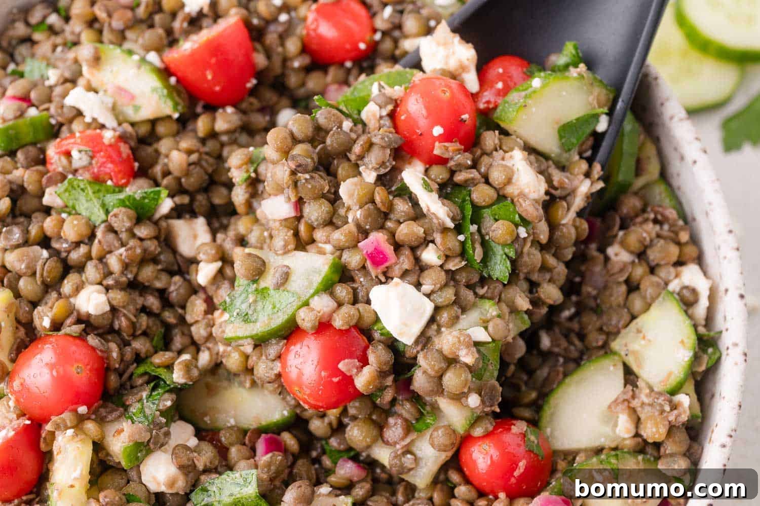A close-up view of a Mediterranean lentil salad, highlighting the vibrant colors and fresh textures of cherry tomatoes, cucumber slices, crumbled feta cheese, red onion, and fresh parsley, served with a black spoon.