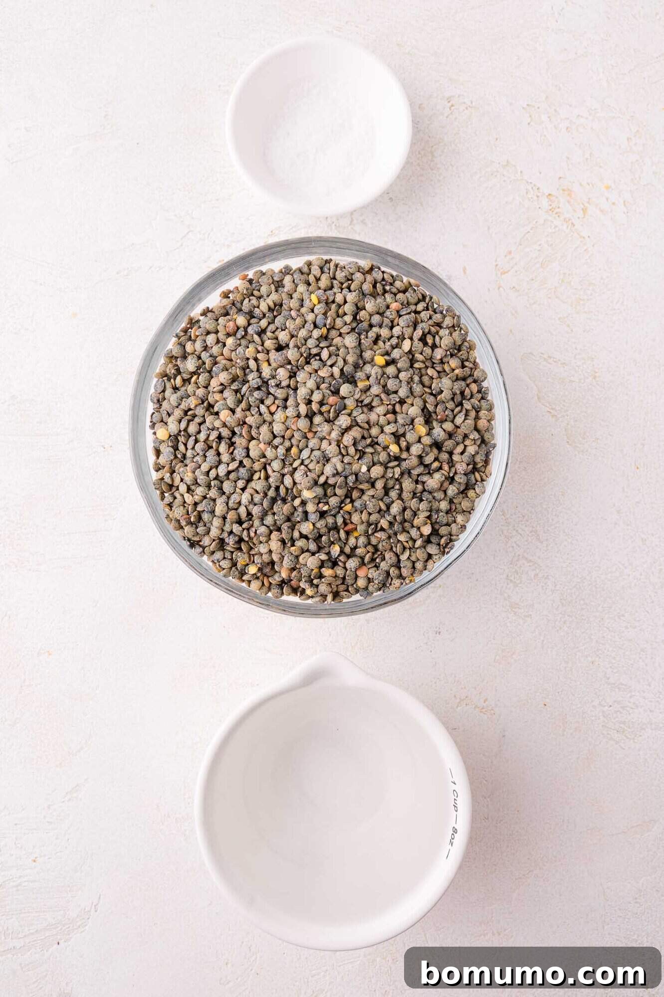 A bowl of dry green lentils, a small bowl of kosher salt, and an empty measuring cup awaiting preparation, arranged on a bright, light-colored surface.