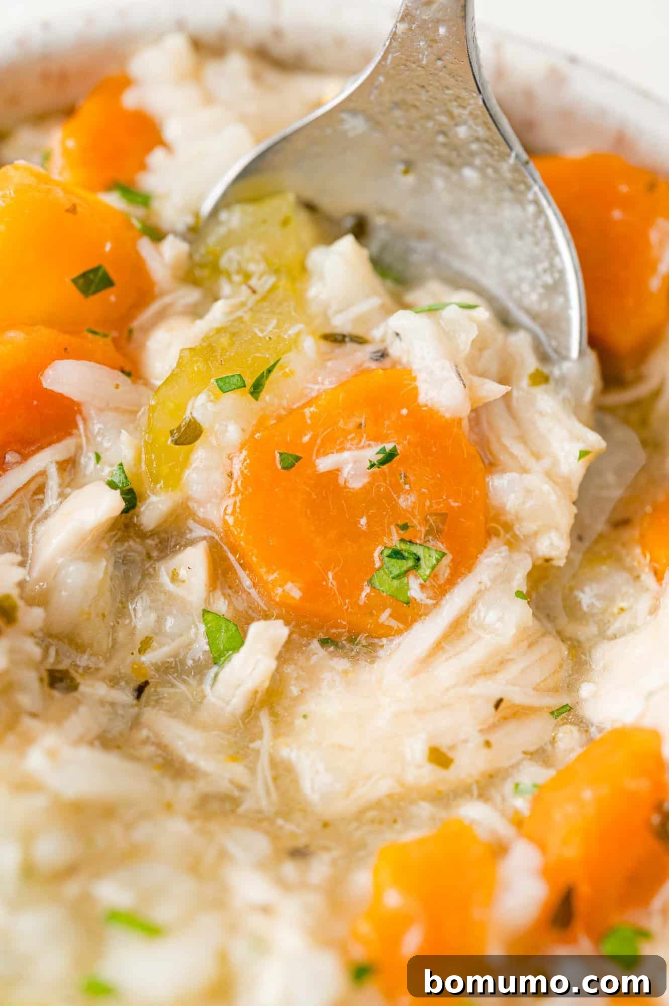 Chicken rice soup, close up view, on a spoon.