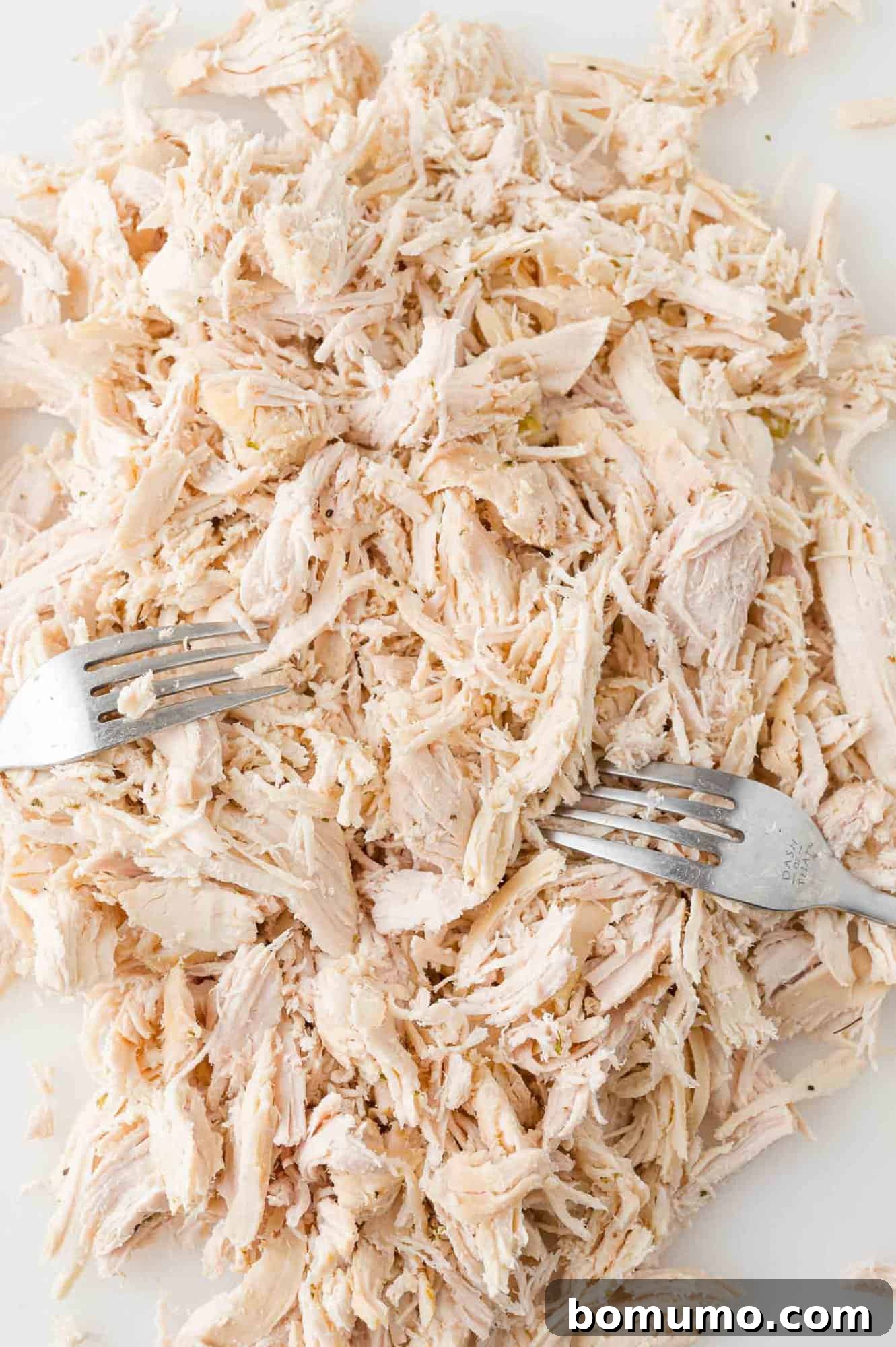 Chicken breasts being shredded.