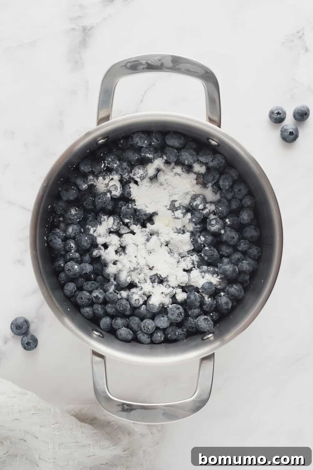 Luscious Blueberry Compote 5 Blueberry sauce ingredients sitting in a pan, before being stirred or cooked, showcasing the raw materials.