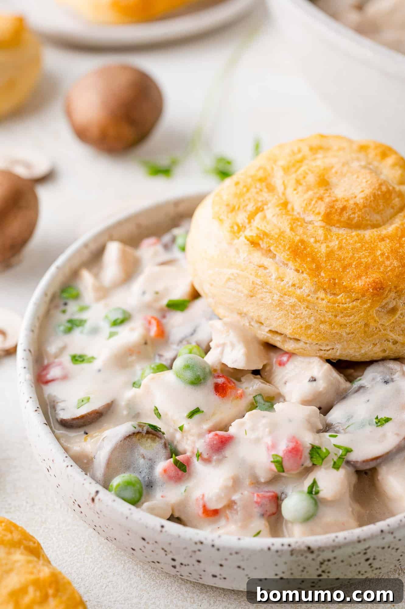 A golden-brown biscuit poised on the edge of a bowl filled with steaming Chicken à la King.