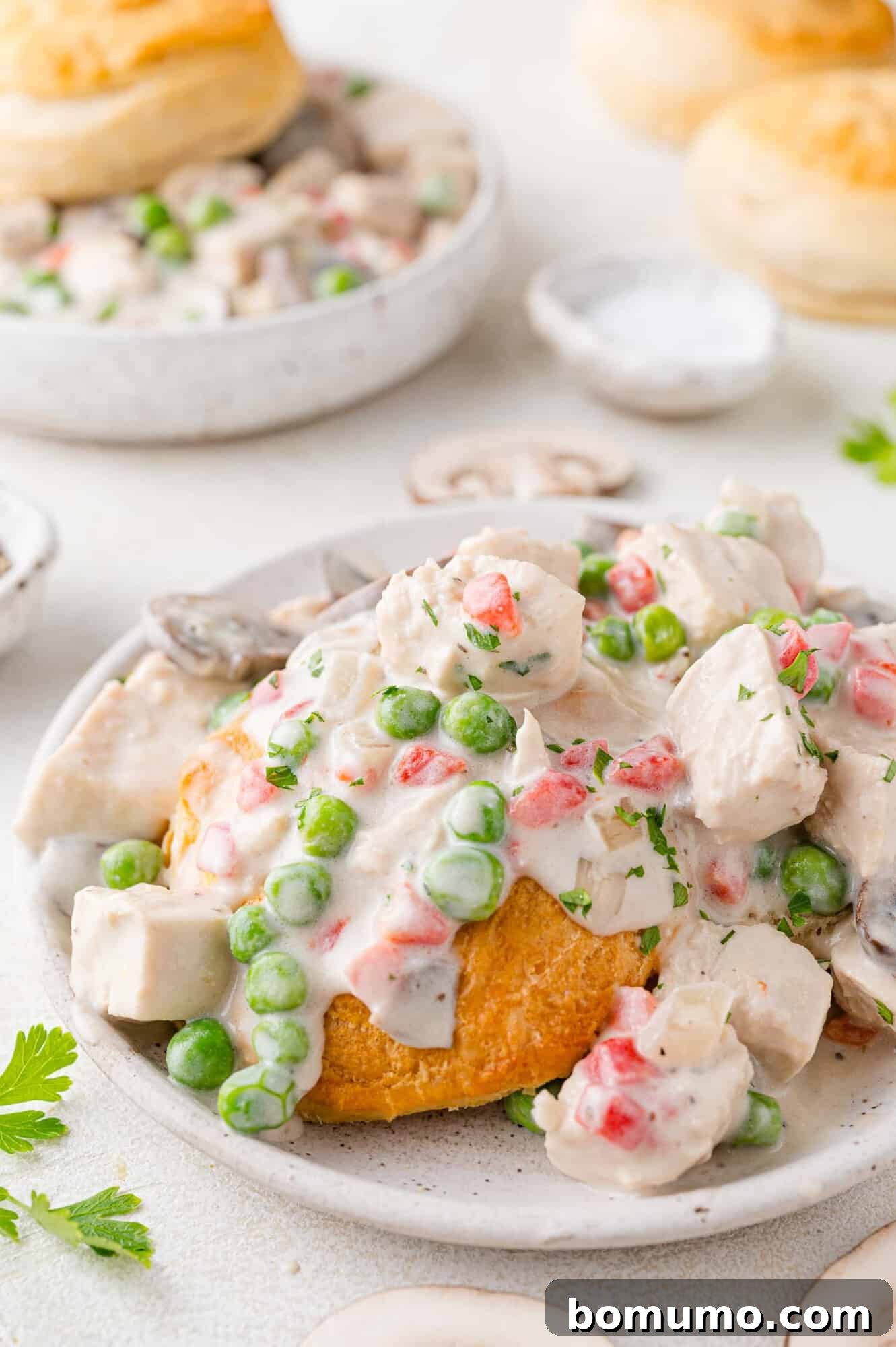 Classic Chicken à la King served over fluffy biscuits on a white plate, ready to be enjoyed.
