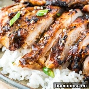 Crispy Ginger Chicken Thighs, perfectly sliced and served atop a bed of fluffy white rice, garnished with fresh green onions and sesame seeds.