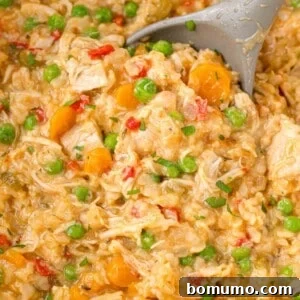 Crockpot chicken and rice casserole being scooped with a serving spoon.