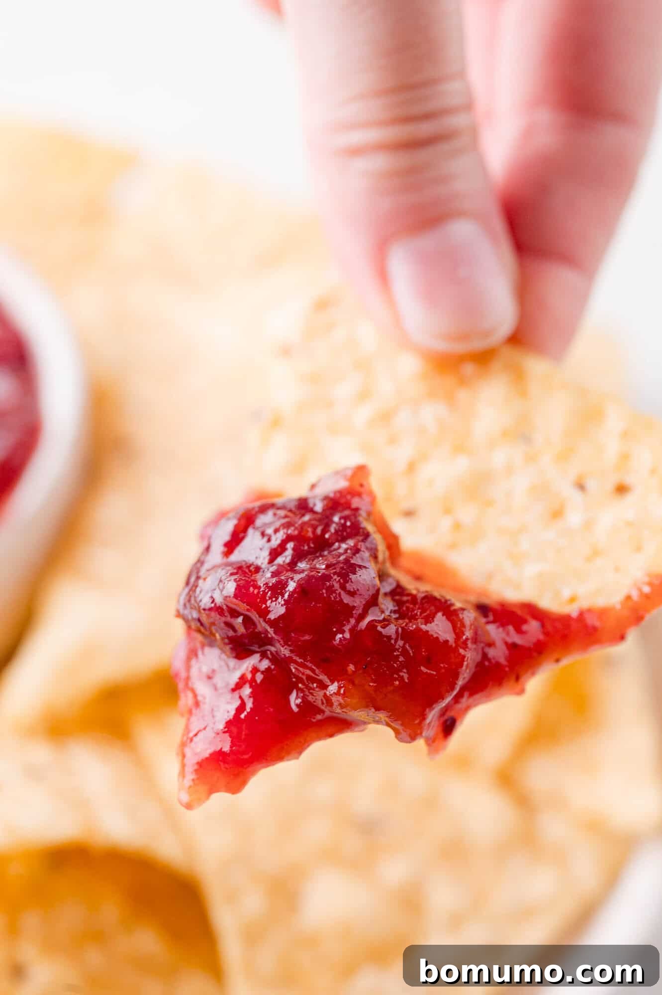 Simple Two Ingredient Cranberry Salsa 3 Cranberry salsa on a chip.