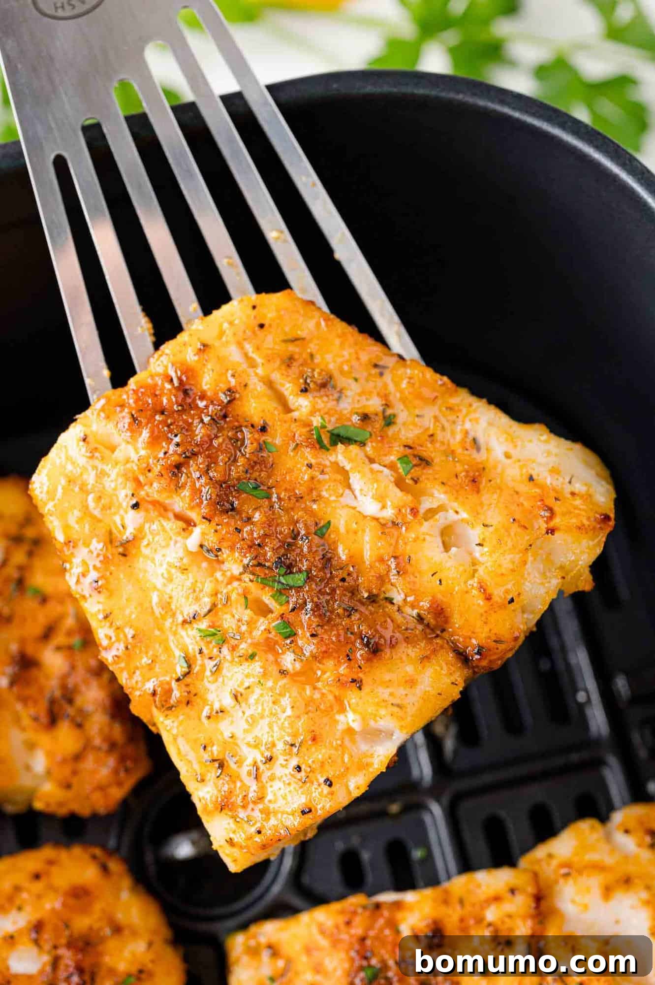 A seasoned fillet of cod being lifted from an air fryer basket with a spatula.