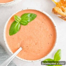 Creamy tomato soup topped with basil.