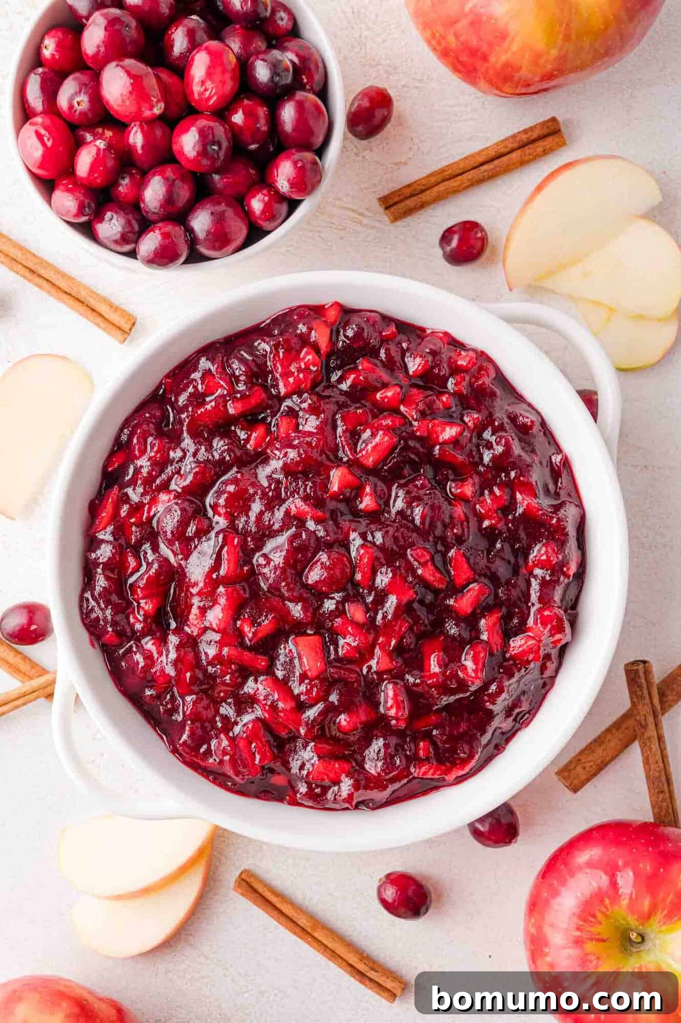 Overhead view of apple cranberry sauce in a white bowl, surrounded by apple slices and cinnamon sticks.