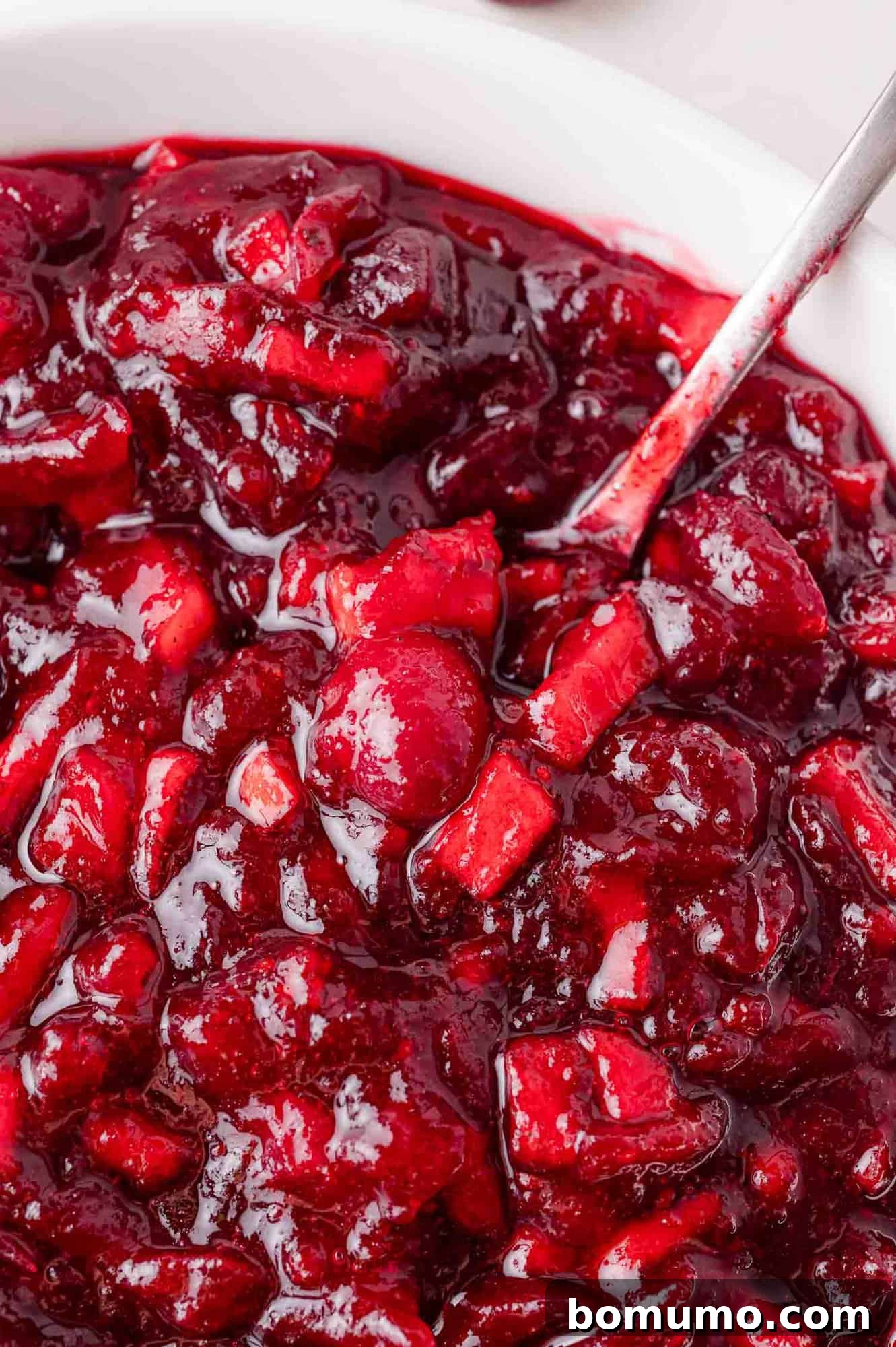 Close up of apple cranberry sauce on a spoon, in a white bowl.