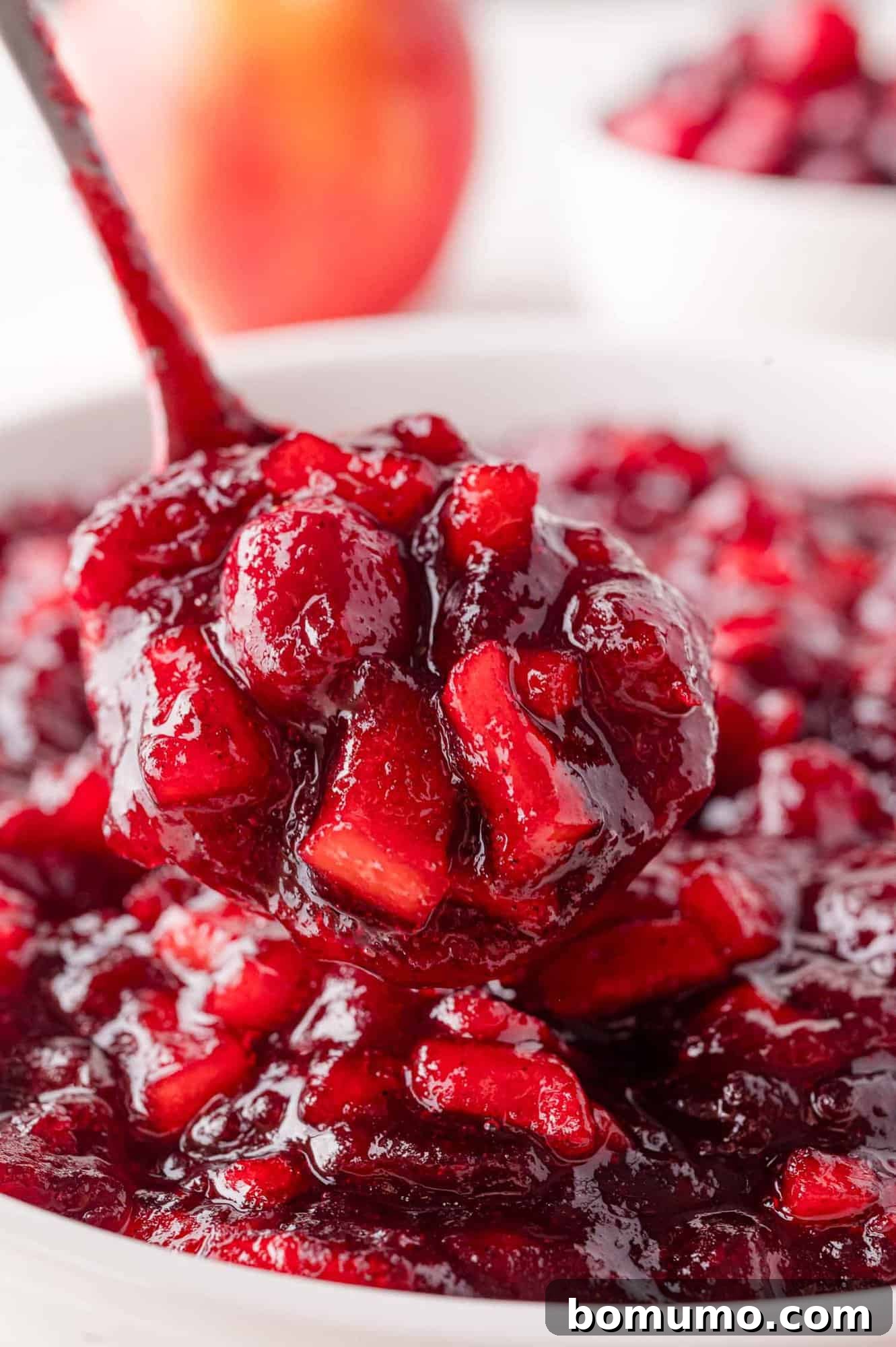 A spoon scoops up a thick cranberry relish with chunks of red fruit, over a bowl filled with the same sauce. 