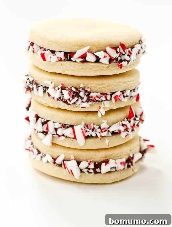 Two beautifully stacked peppermint sugar cookie sandwiches with chocolate ganache filling and crushed candy canes on a white plate, ready for the holidays.
