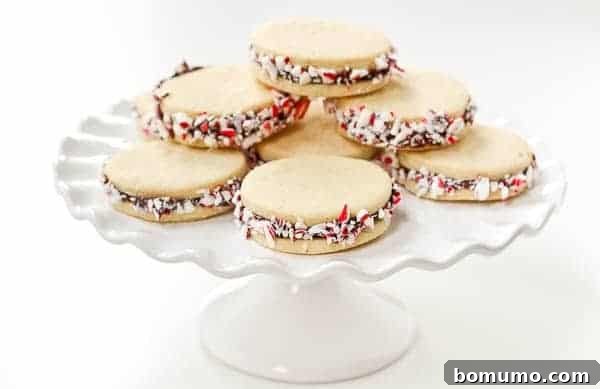 An array of peppermint sugar cookie sandwiches with chocolate ganache, neatly arranged on a cooling rack, showcasing their delicious appearance.