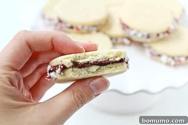 A close-up of a single peppermint sugar cookie sandwich, highlighting the soft cookie, thick chocolate ganache, and sparkly candy cane edges.