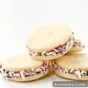 Beautifully arranged peppermint sugar cookie sandwiches with chocolate ganache, highlighting the rich filling and festive candy cane edges.
