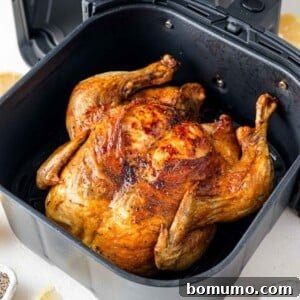 Roasted chicken in an air fryer basket, golden and crispy, with visible seasonings.