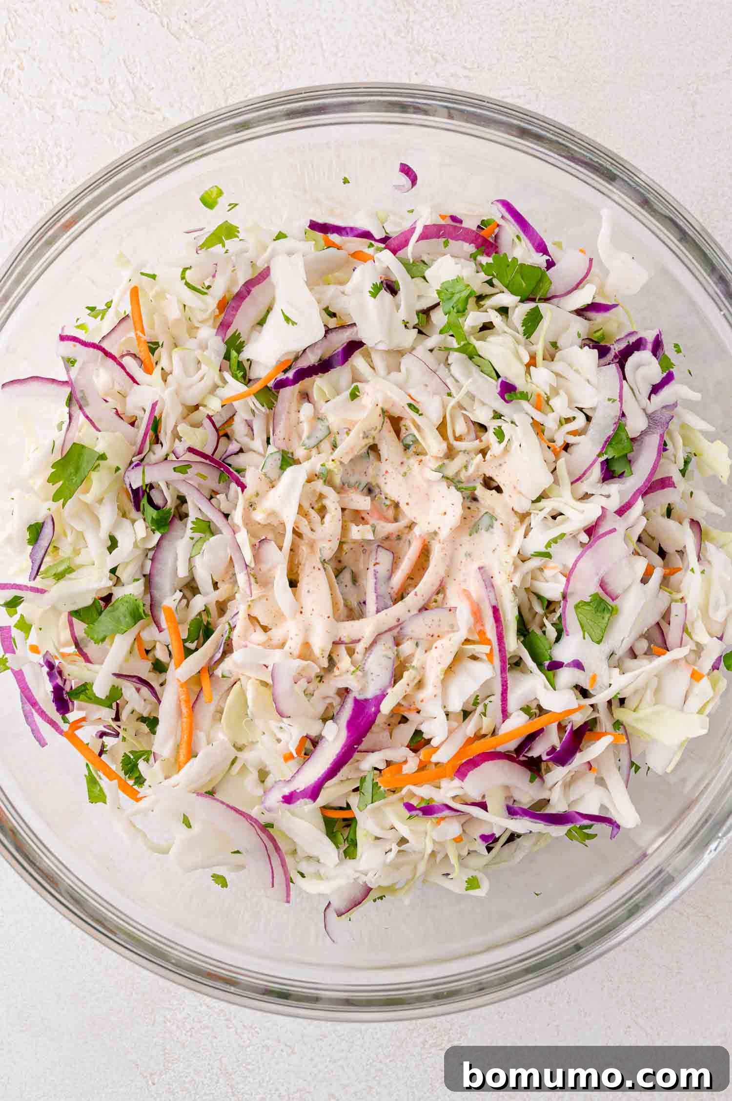 A clear glass bowl contains a colorful, creamy coleslaw featuring shredded cabbage, carrots, red onions, and chopped fresh herbs, all thoroughly coated in the zesty dressing, ready for chilling.