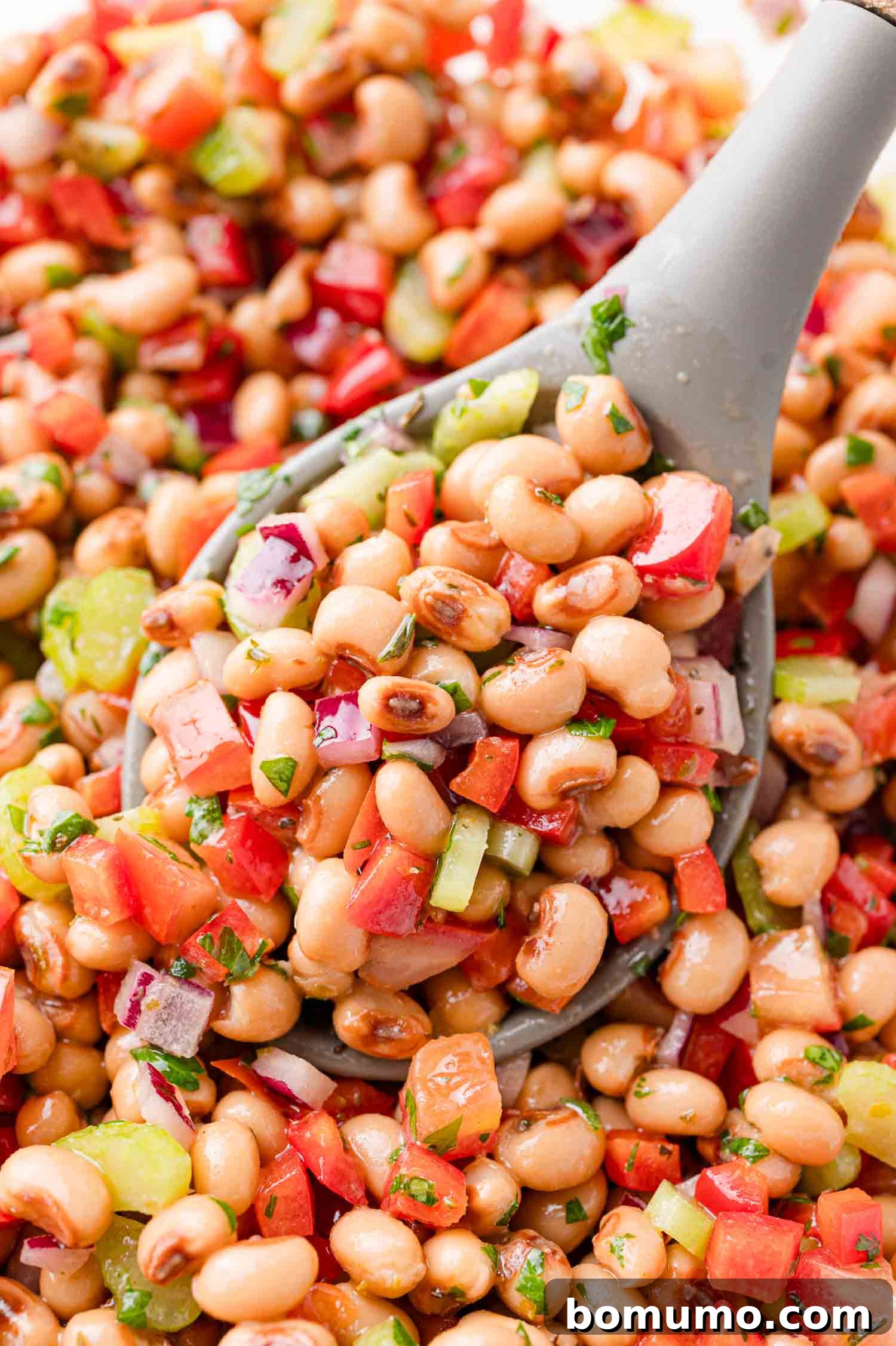 A close-up of a gray spoon scooping a colorful bean salad with black-eyed peas, diced red peppers, red onions, celery, and herbs.