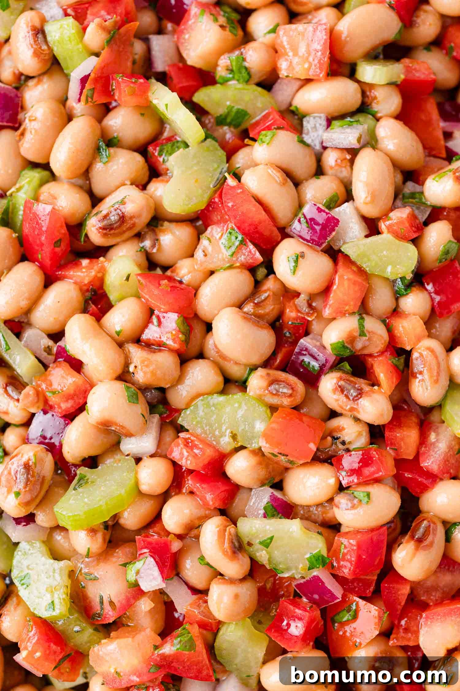 A close-up view of the vibrant black-eyed pea salad, showcasing the tender peas, finely chopped red onion, crisp celery, bright red bell pepper, and fresh green herbs, glistening with dressing.