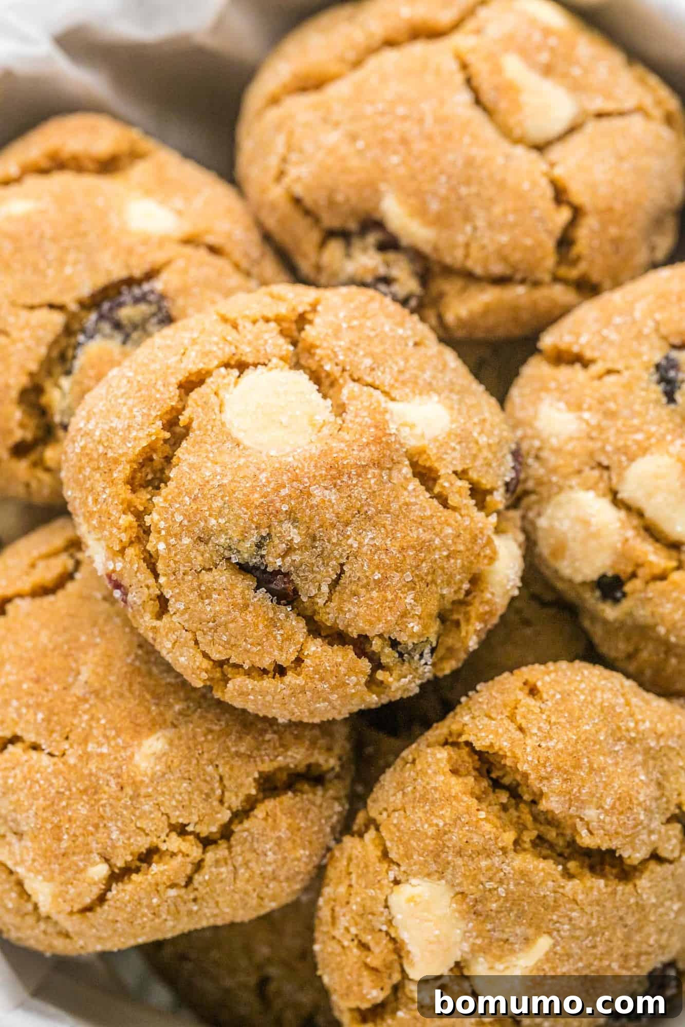 Close up of pile of gingersnap cookies with cranberries and white chocolate, showcasing their inviting texture and festive additions.