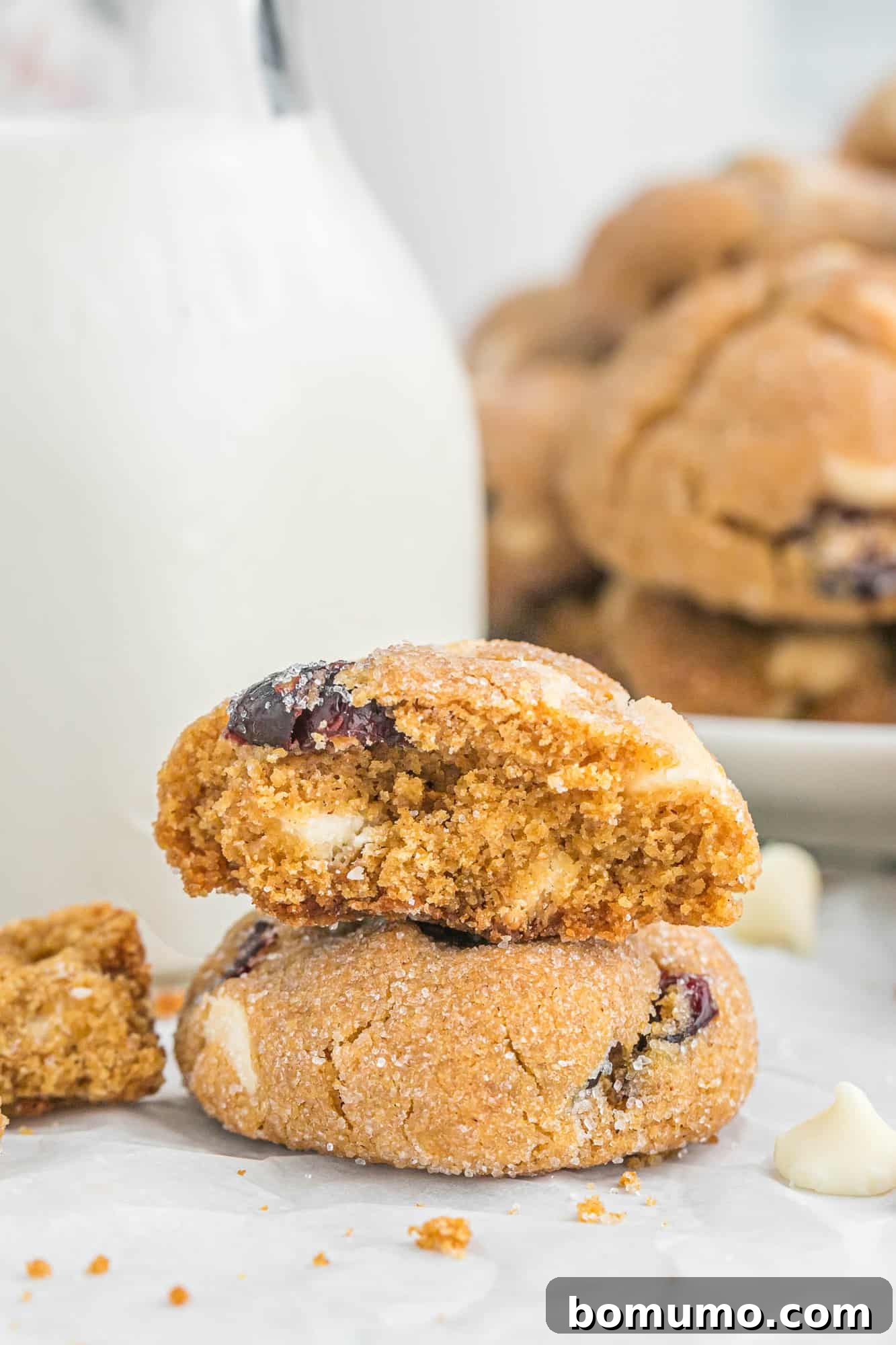 Gingersnap cookie cracked in half to show its chewy interior and the delightful distribution of white chocolate and cranberries.